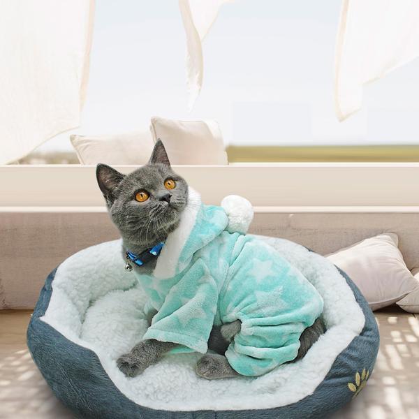 Clothes for Cats