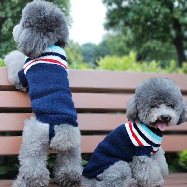Clothes for Dogs