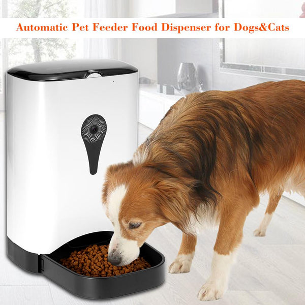 Automatic Cat and Dog Feeder: Smart Pet Feeder - Online Pet Bargains