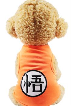 Dog Clothes for Dogs: Dog Vests and Dog Outfits - Online Pet Bargains